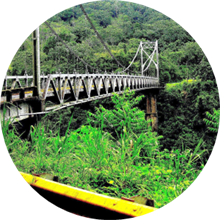 A decorative bridge for crossing a large ravine in Costa Rica