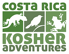 Costa Rica Kosher Adventures Logo