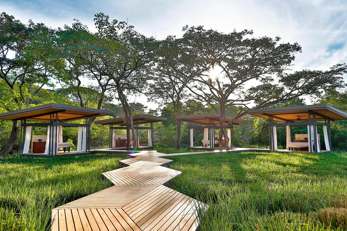 Photo of the El Mangroove hotel & resort grounds.  Pathway through the grass.